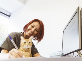 veterinarka_pocitac_kocka