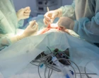 sterilizace katetrizace veterináři operují na operačním sálu