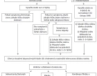 schema_zhodnoceni_symtomu_se_staniny