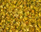 zdroj: http://freerangestock.com/