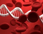 DNA_a_krev_krevni_reciste_bunky