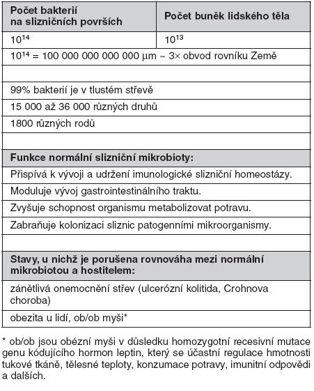 tlustí lidé s velkými ptáky