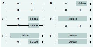 Schéma 4. Genotypové varianty delečních forem
α-talasemií
