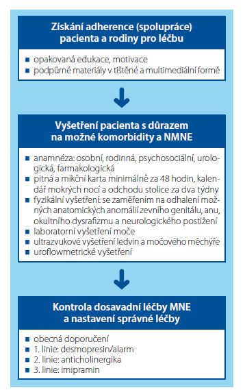 Tři základní kroky v diagnostice a léčbě rezistentního
nočního pomočování<br>
Fig. 1. Three basic steps in the diagnosis and treatment
of resistant enuresis