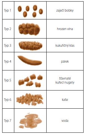 Česká verze Bristolské stupnice stolice (13)<br>
Fig. 5. The Czech version of the Bristol stool scale (13)